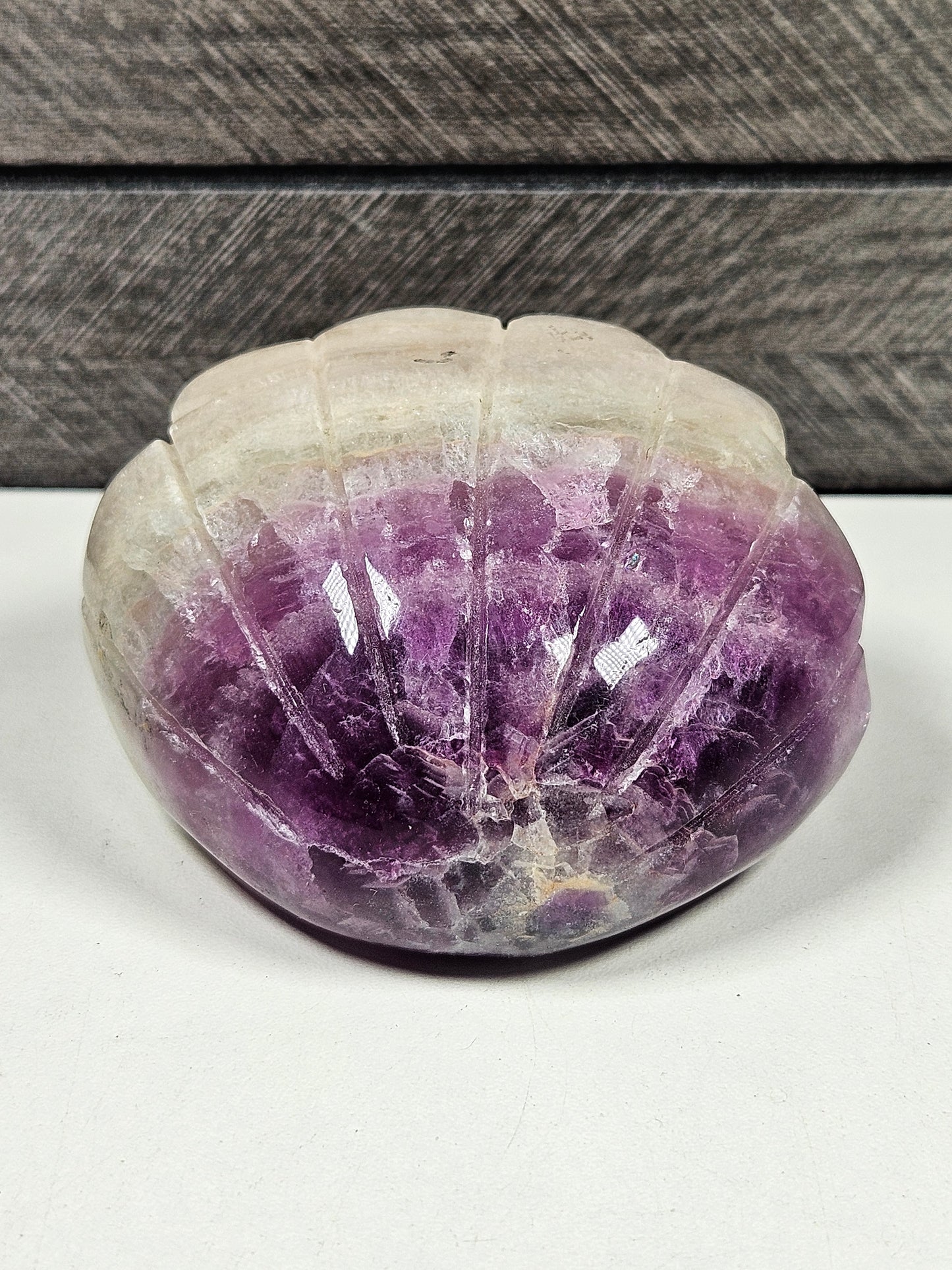 Fluoriet schelp 310 gram