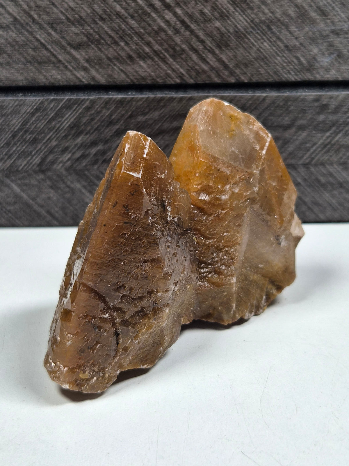 Amber Calciet met Dendriet 160 gram