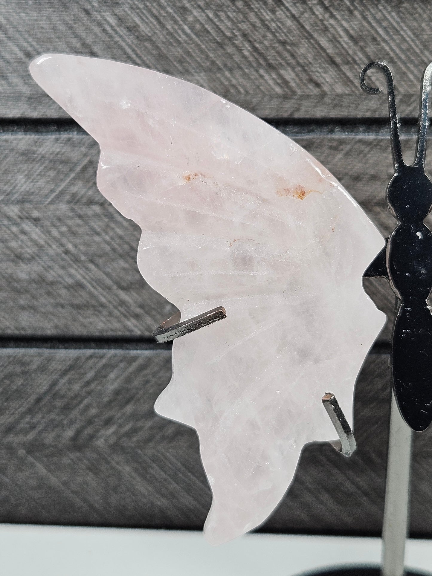 Rozenkwarts vlinder Q10