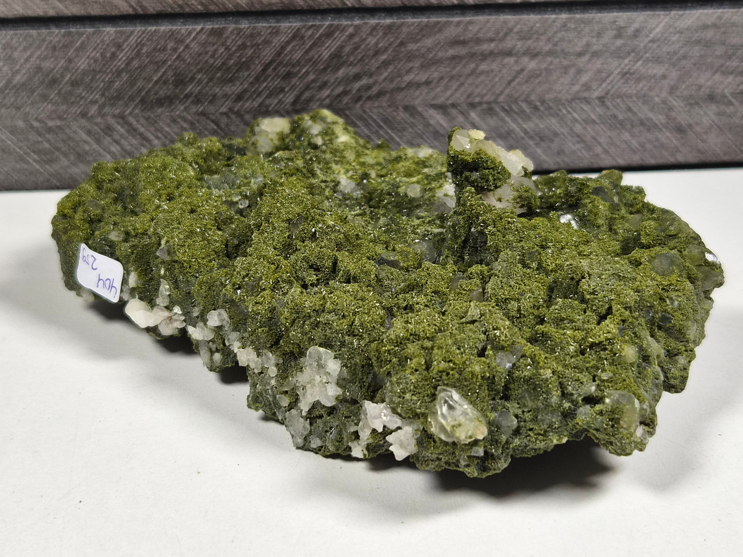 Forest Epidoot ruw 404 gram