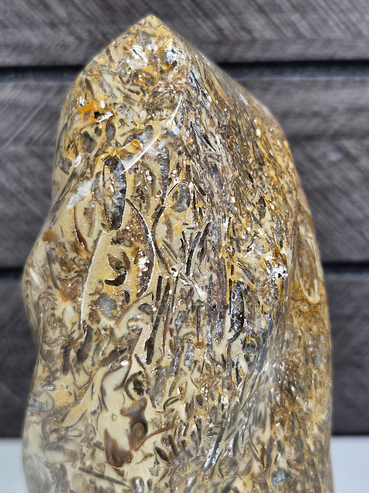 Fossiel Jaspis Sculptuur 406 gram