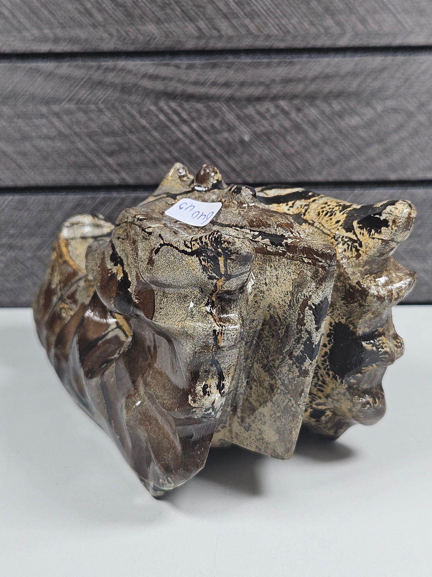 Landschap Jaspis Drakenkop 640 gram