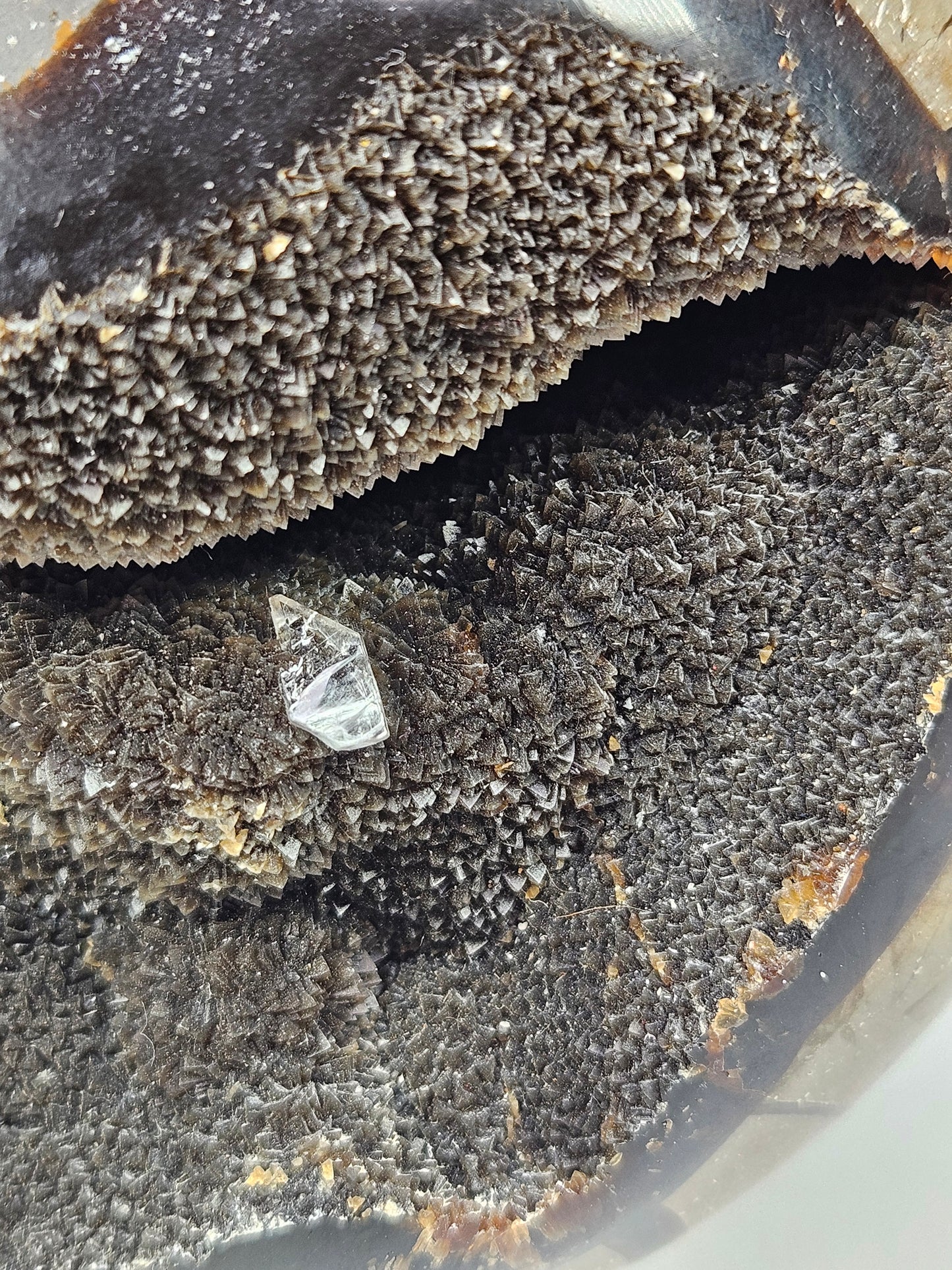 Septarie bol 1500 gram