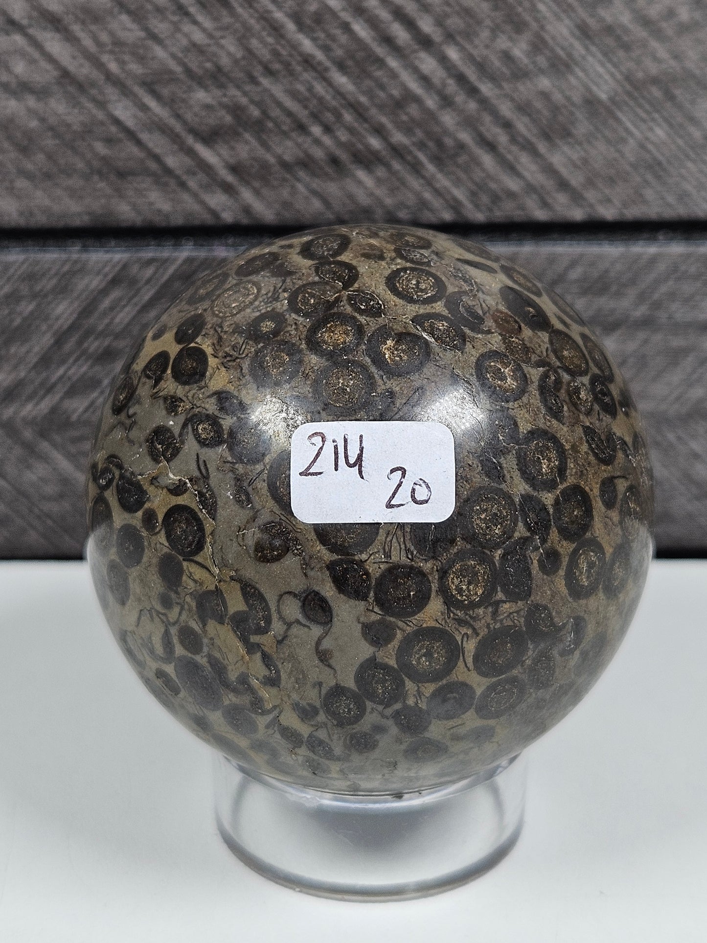 Leopard Skin Jasper bol 214 gram