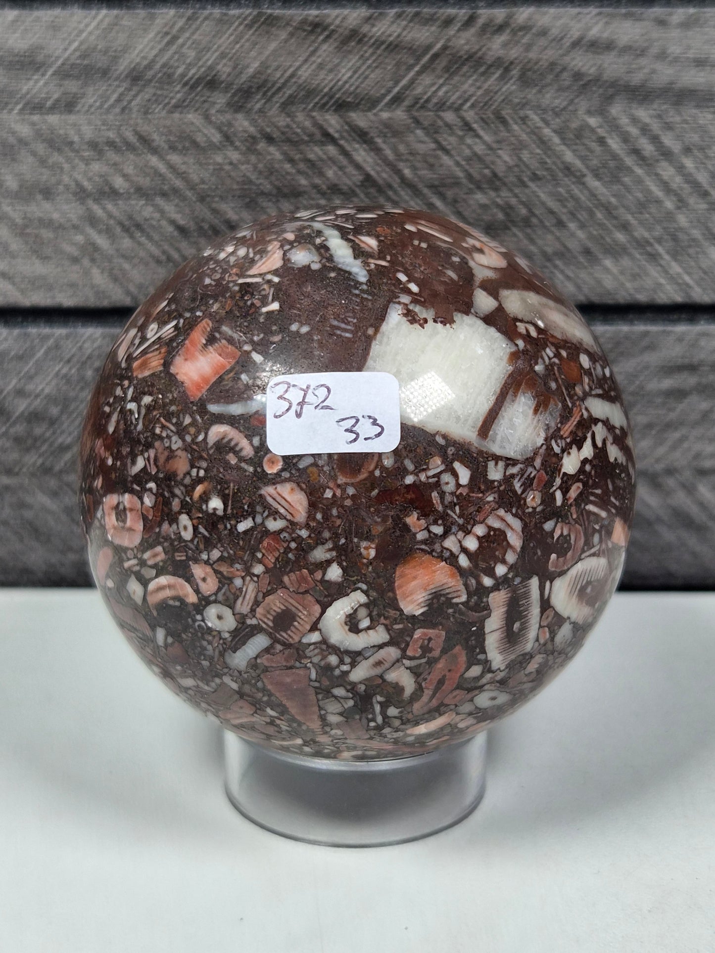 Crinoïde fossiel bol 372 gram