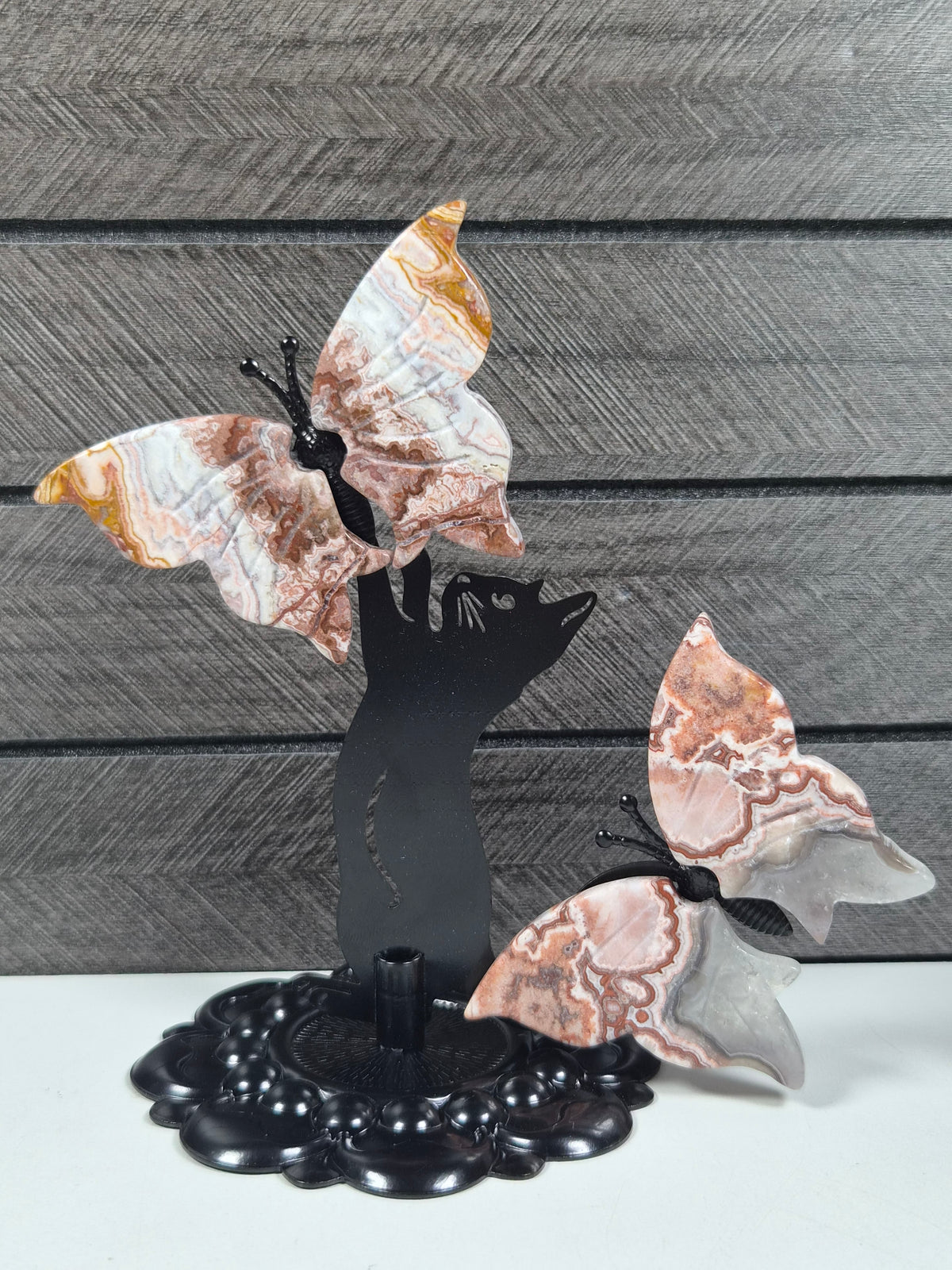 Crazy lace Vlinders met Kat