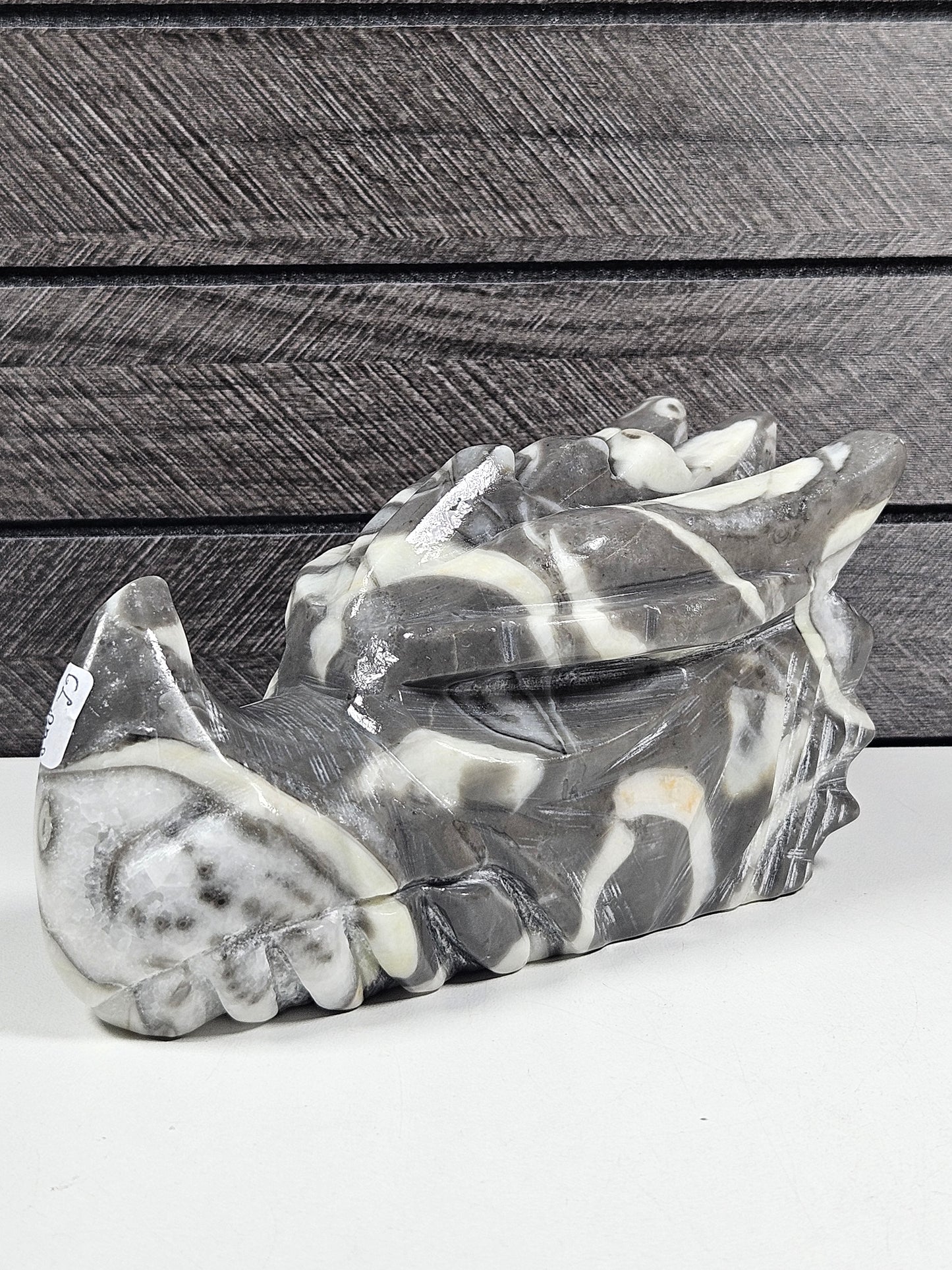Sea Shell Jaspis Drakenkop 848 gram