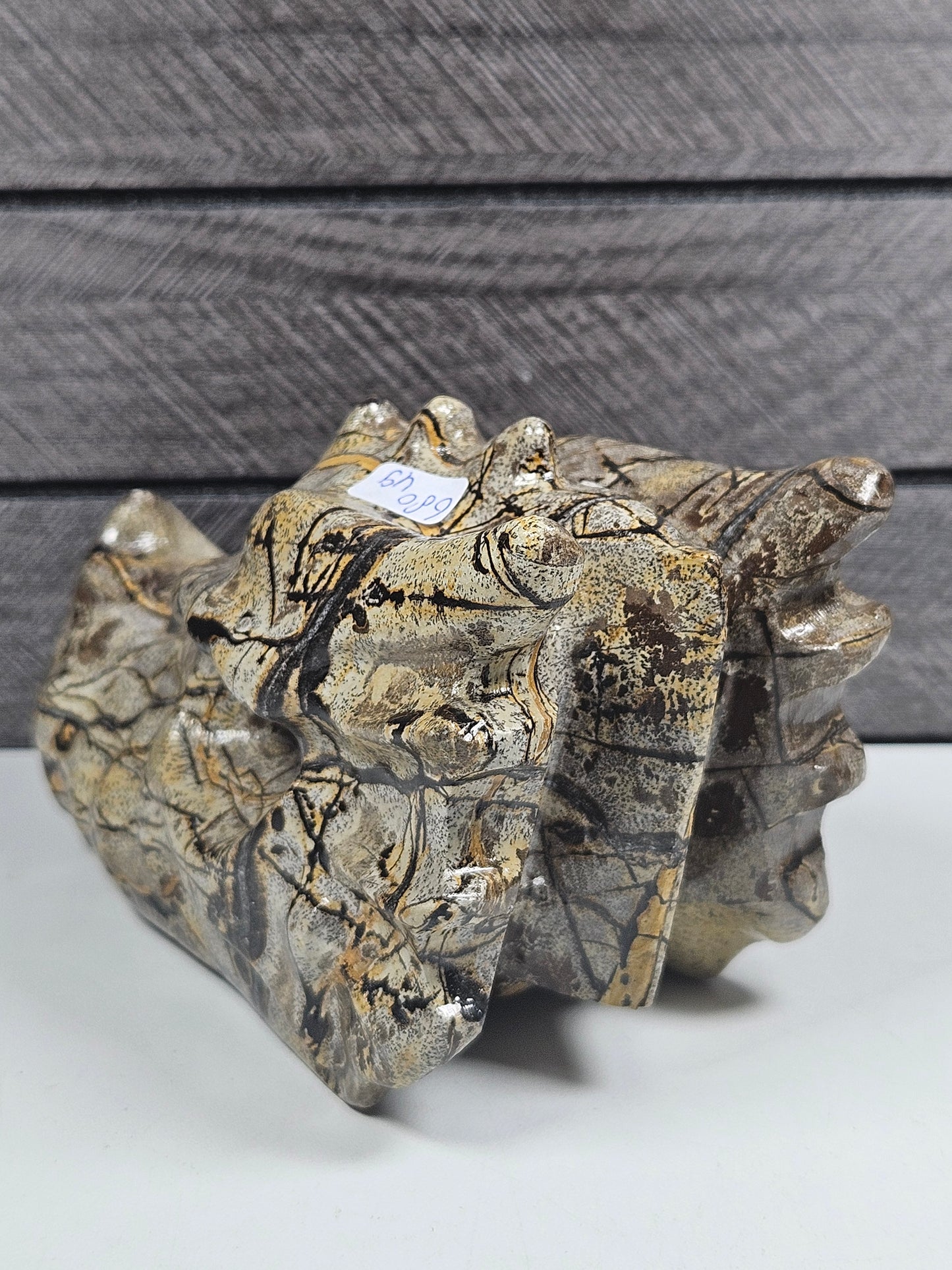 Landschap Jaspis Drakenkop 680 gram