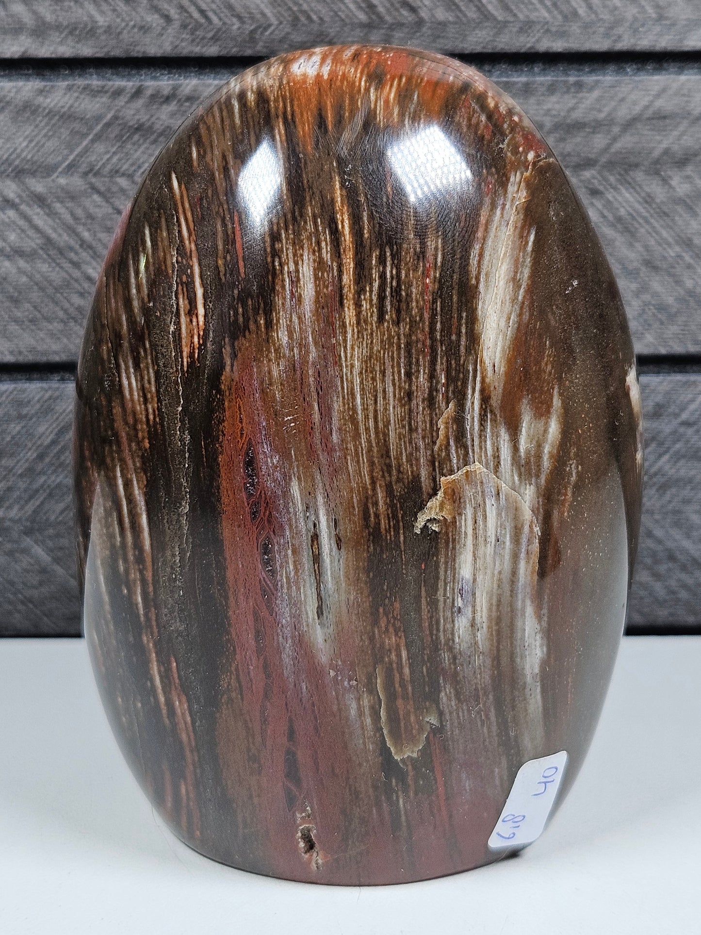 Versteend Hout sculptuur 618 gram