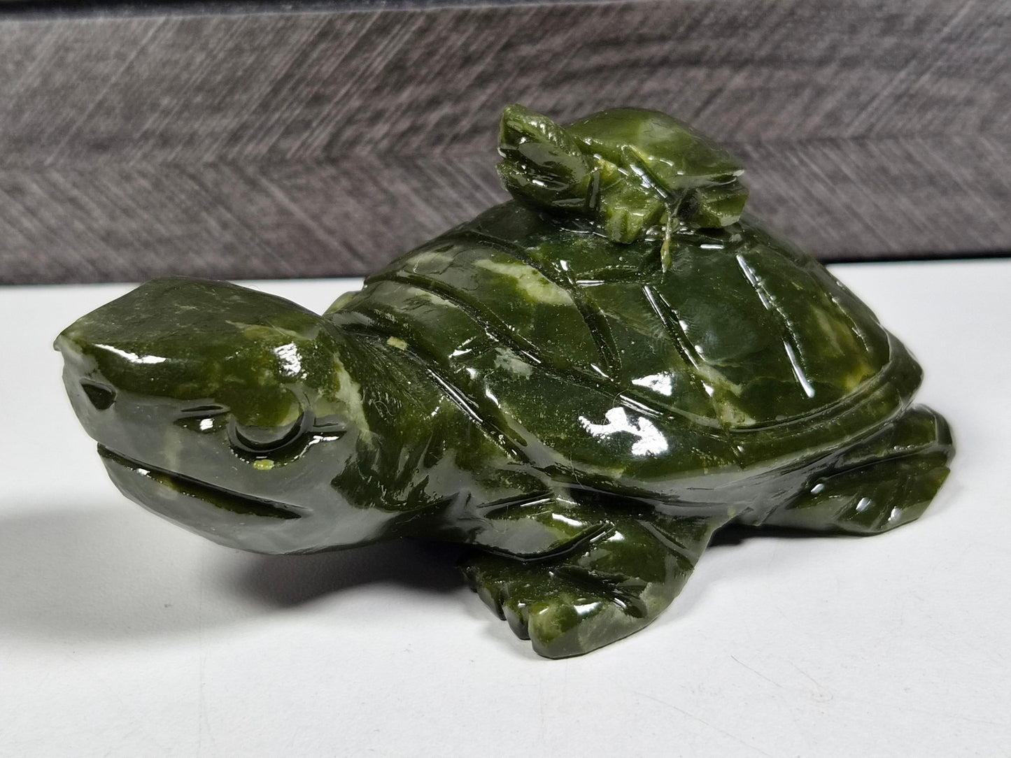 Groene Jade Schilpad Ouder en Kind