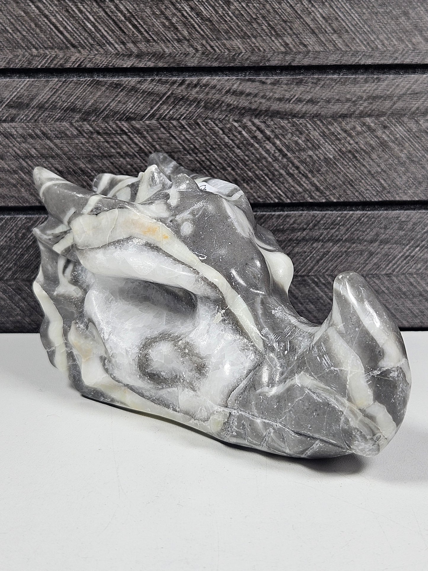 Sea Shell Jaspis Drakenkop 514 gram