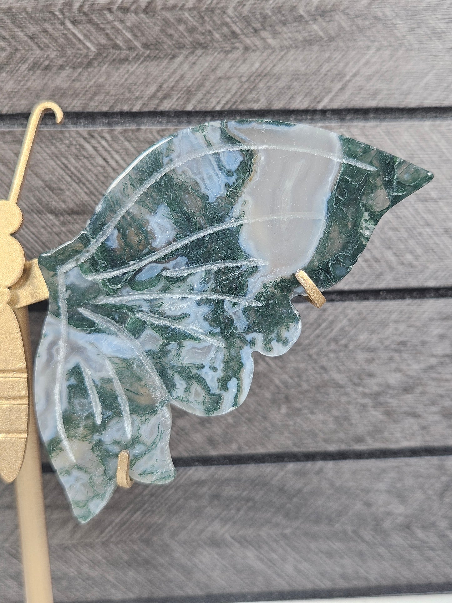 Mosagaat vlinder W60