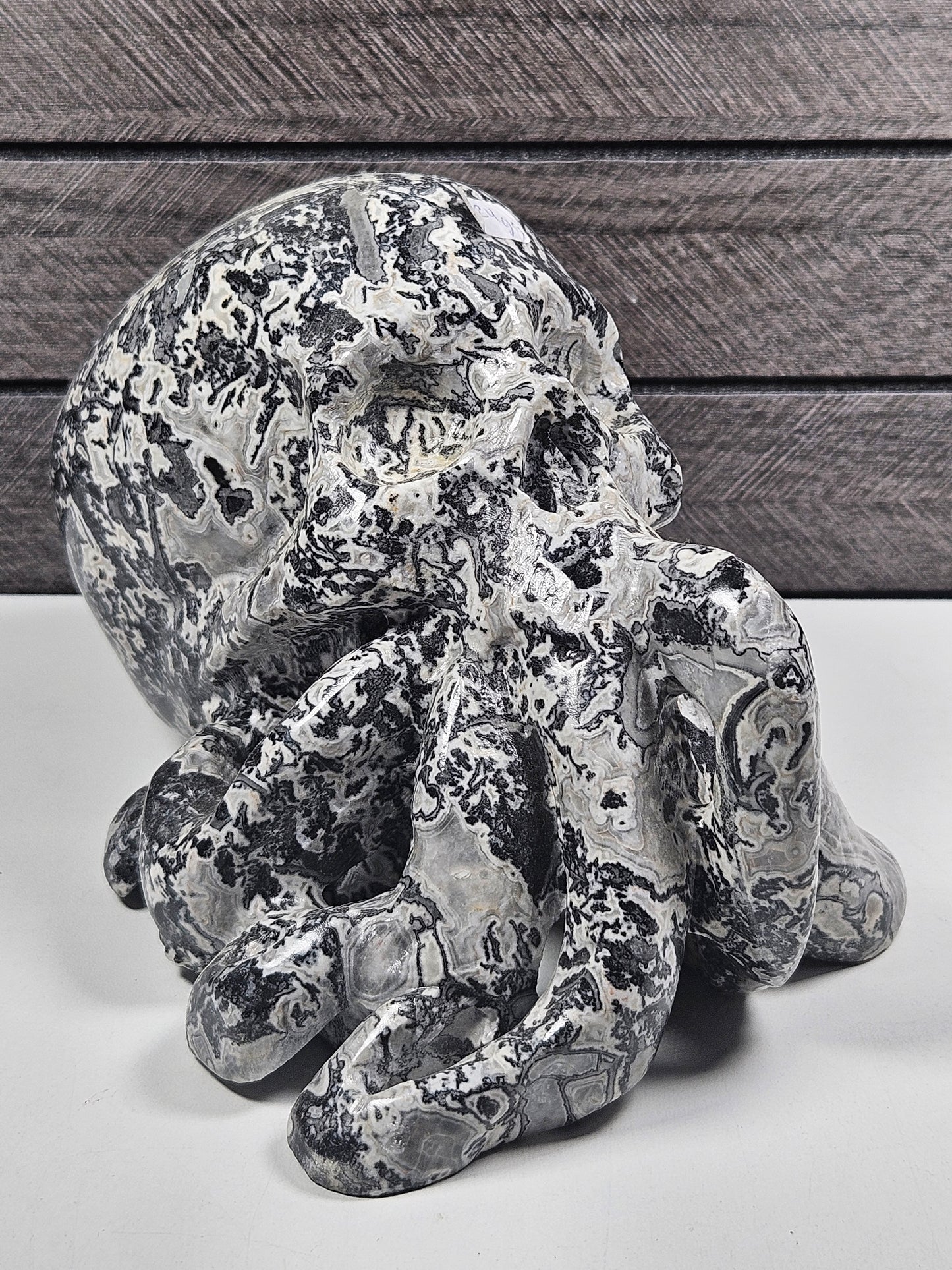 Picasso Jaspis Octopus Schedel 1724 gram