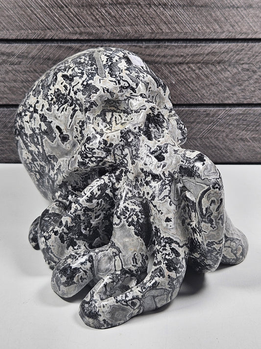 Picasso Jaspis Octopus Schedel 1724 gram
