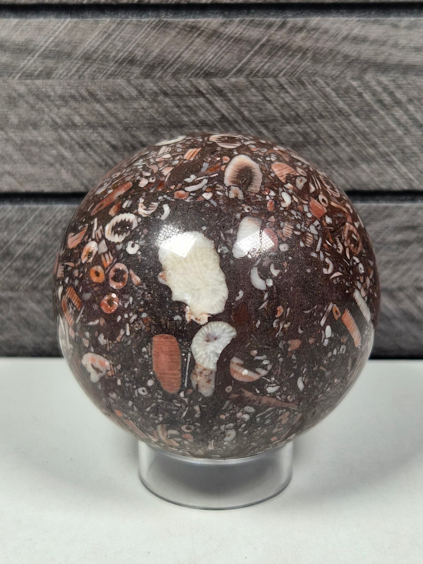 Crinoïde fossiel bol 372 gram