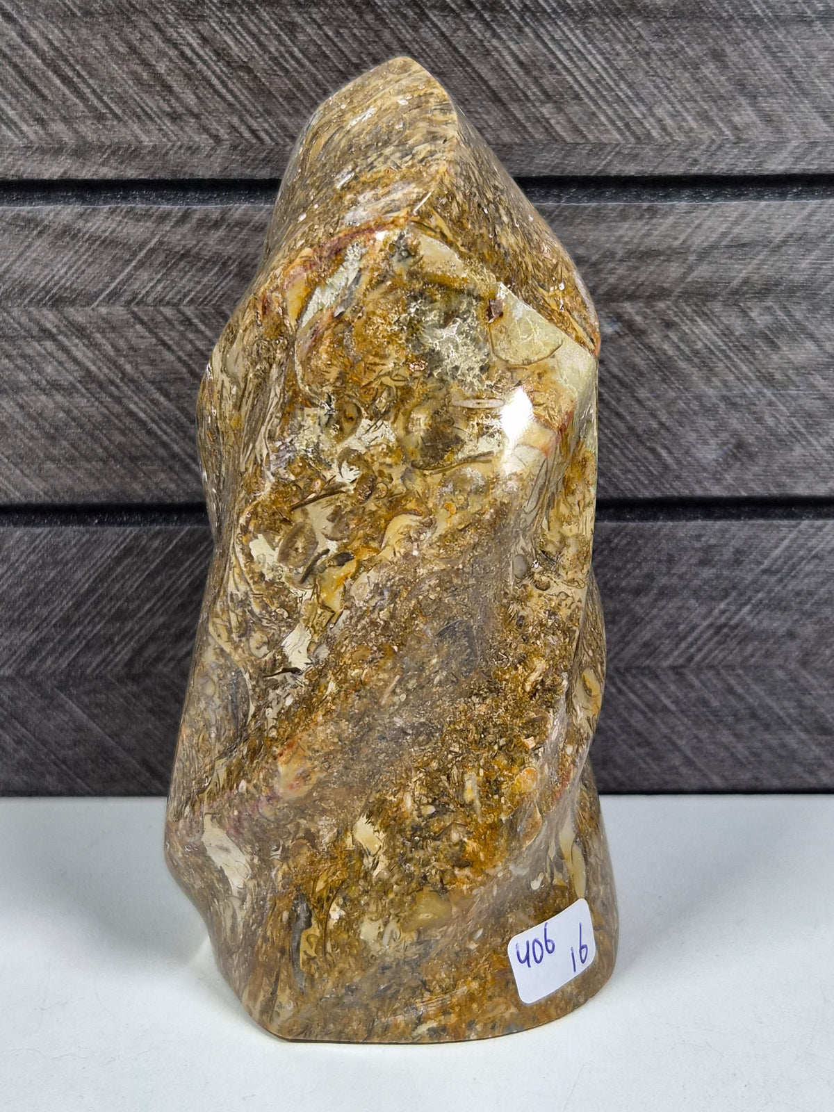 Fossiel Jaspis Sculptuur 406 gram