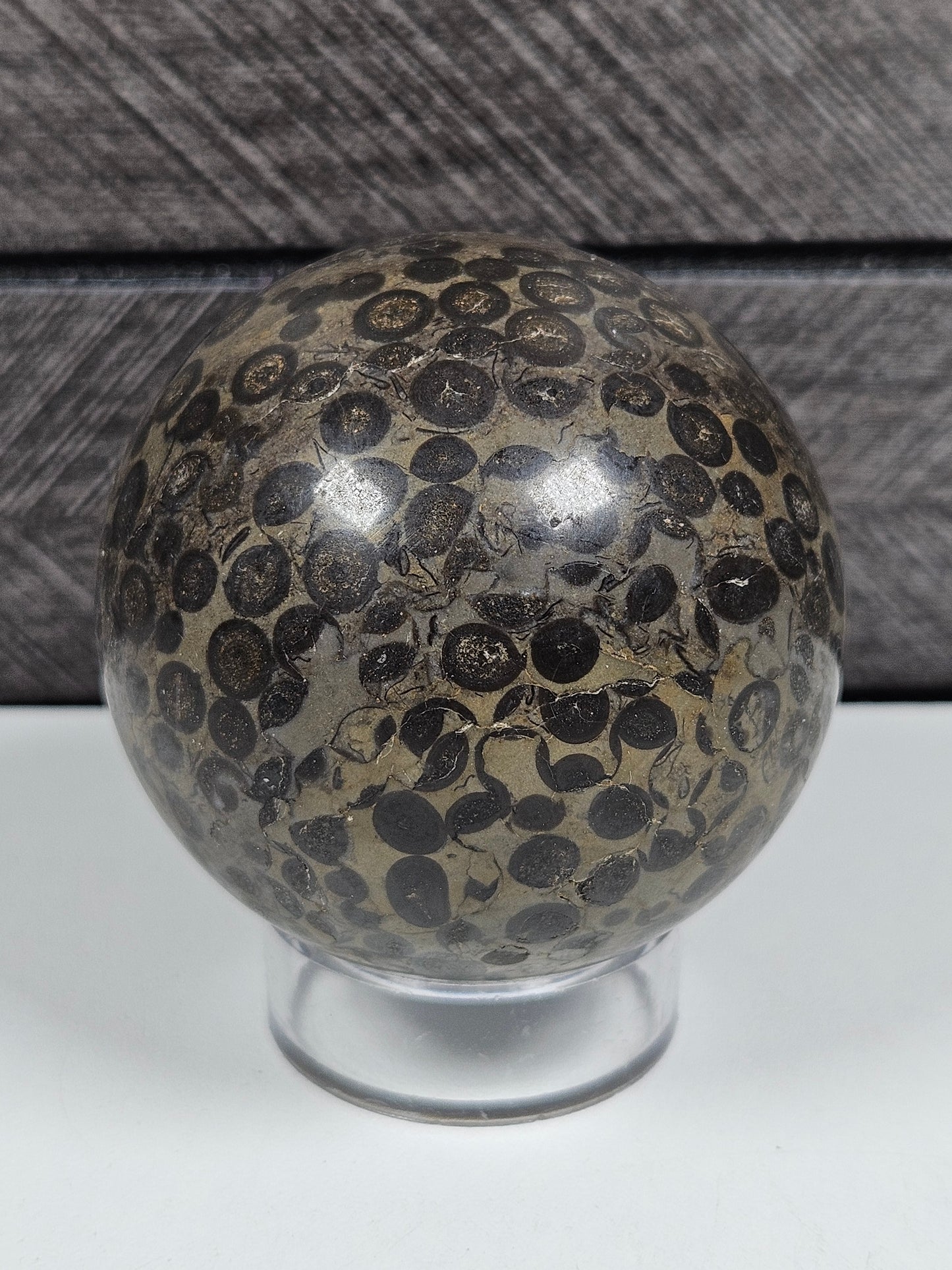 Leopard Skin Jasper bol 214 gram