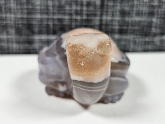 Bloemagaat schildpad