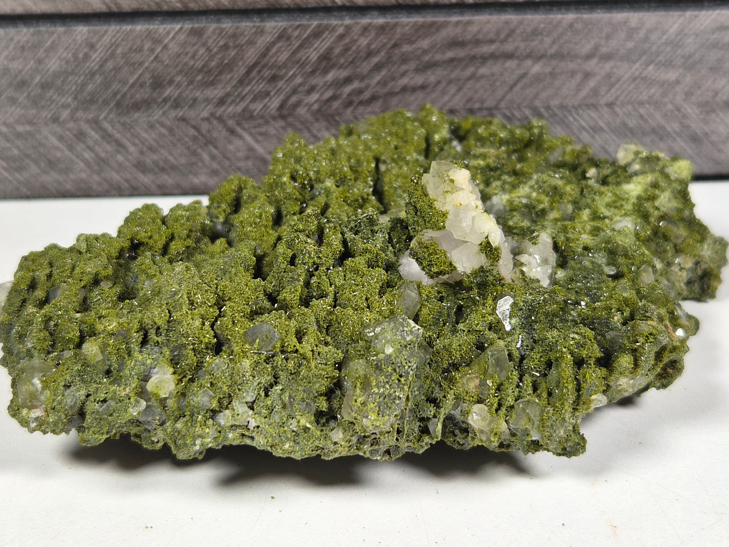 Forest Epidoot ruw 404 gram