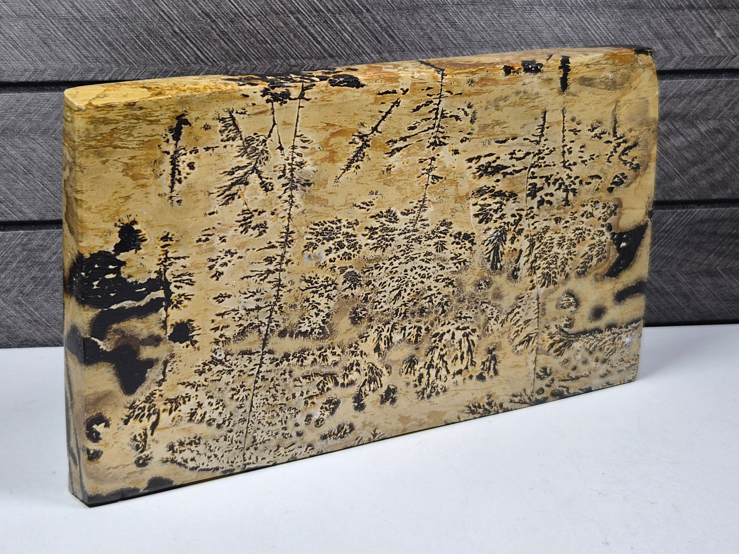 Landschap Jaspis Slab 854 gram