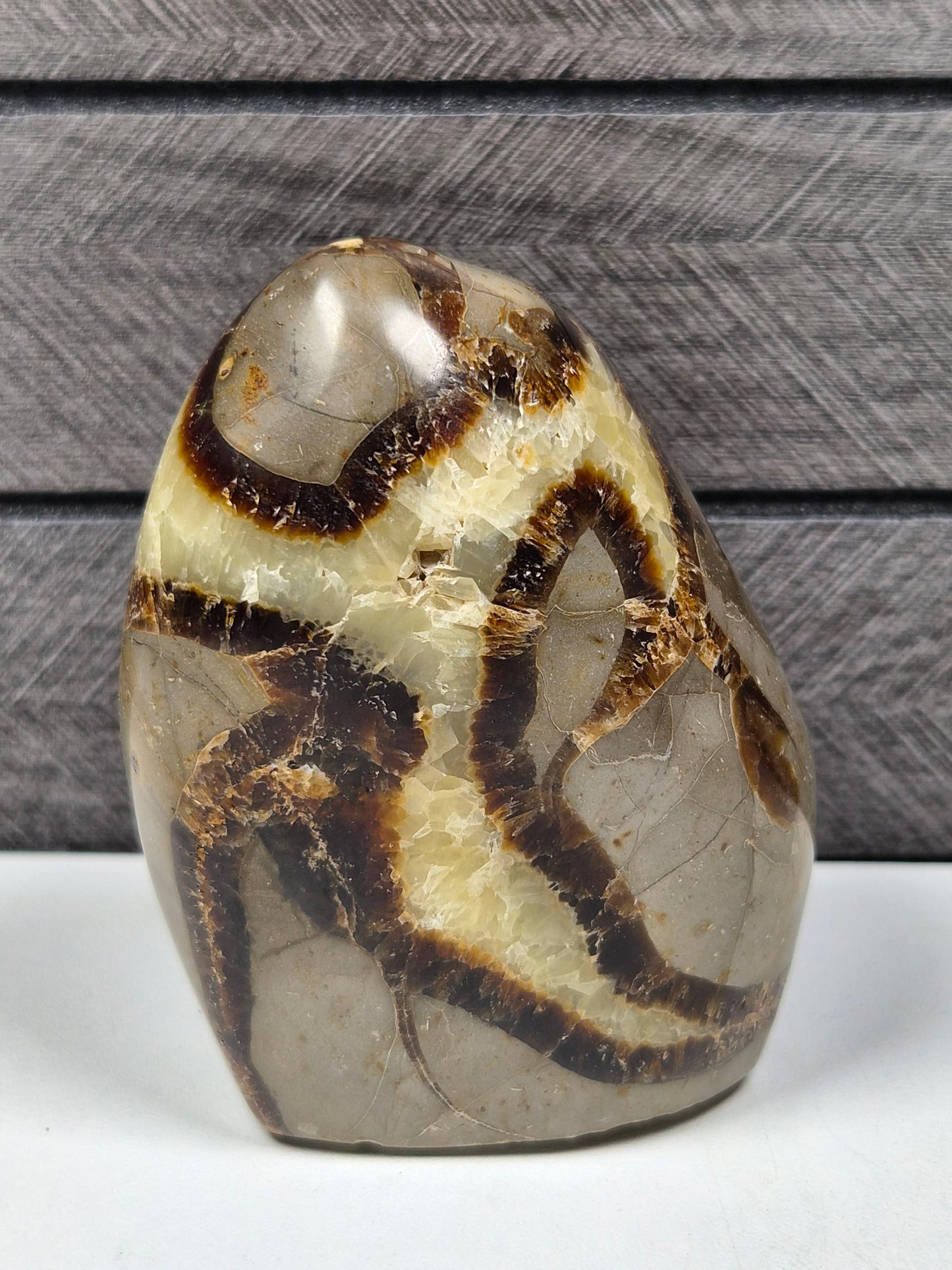 Septarie Sculptuur 328 gram