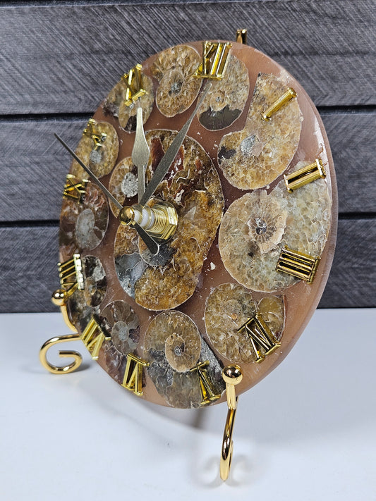 Ammoniet klok op standaard nr12