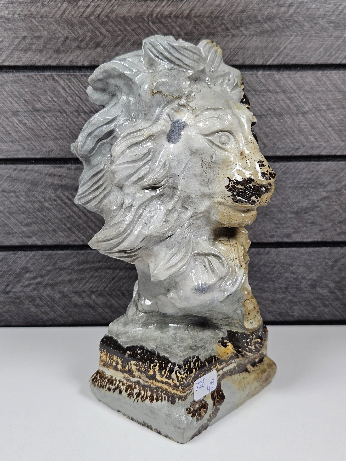 Landschap jaspis Leeuw 728 gram