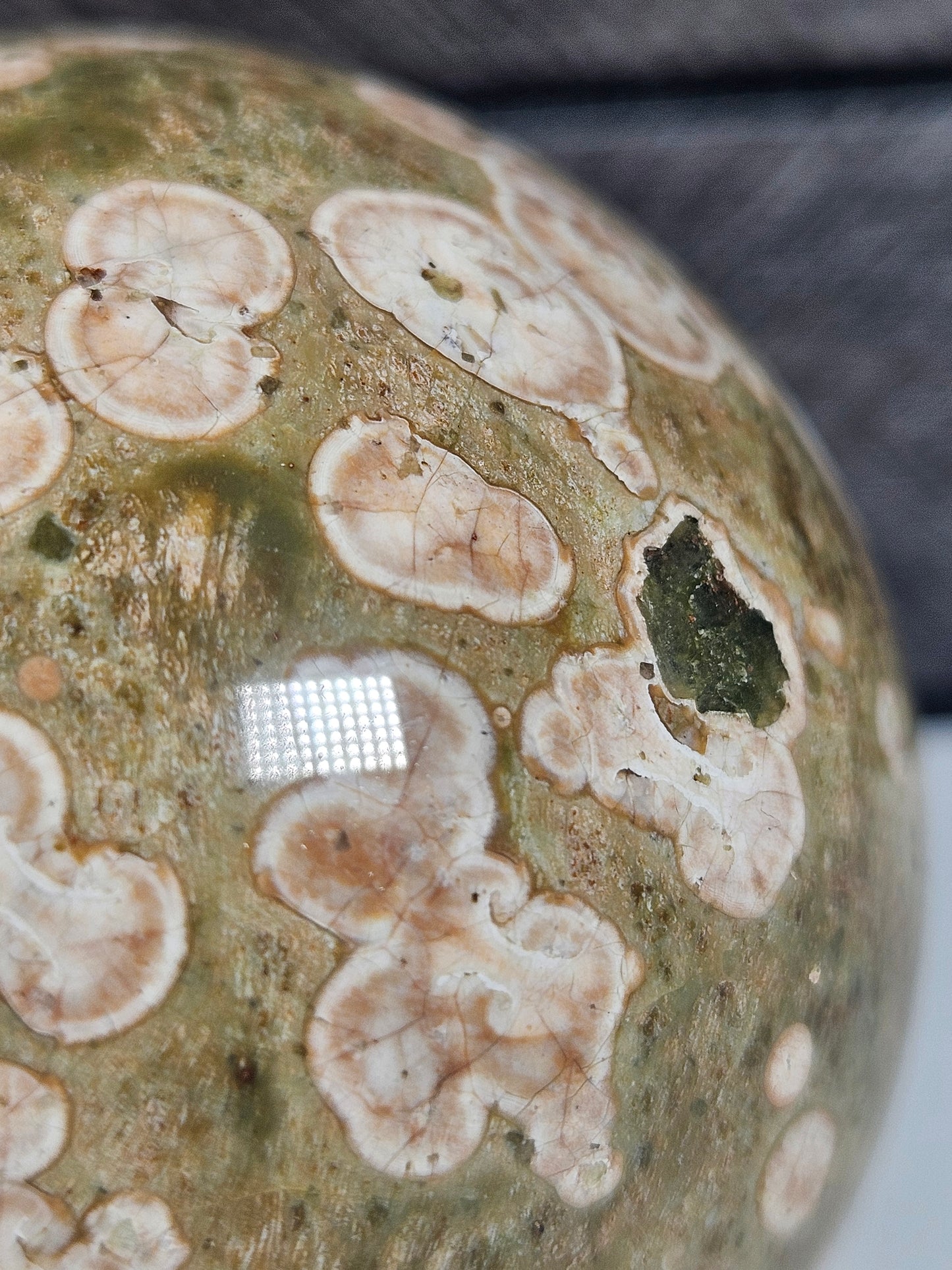 Regenwoud Jaspis bol 290 gram