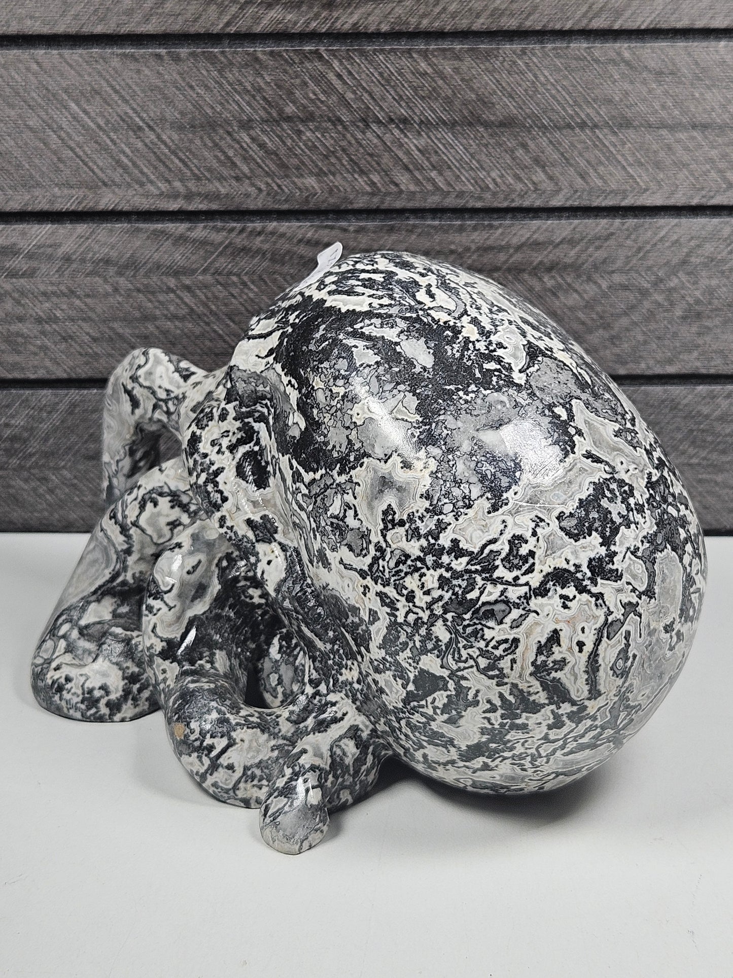 Picasso Jaspis Octopus Schedel 1724 gram