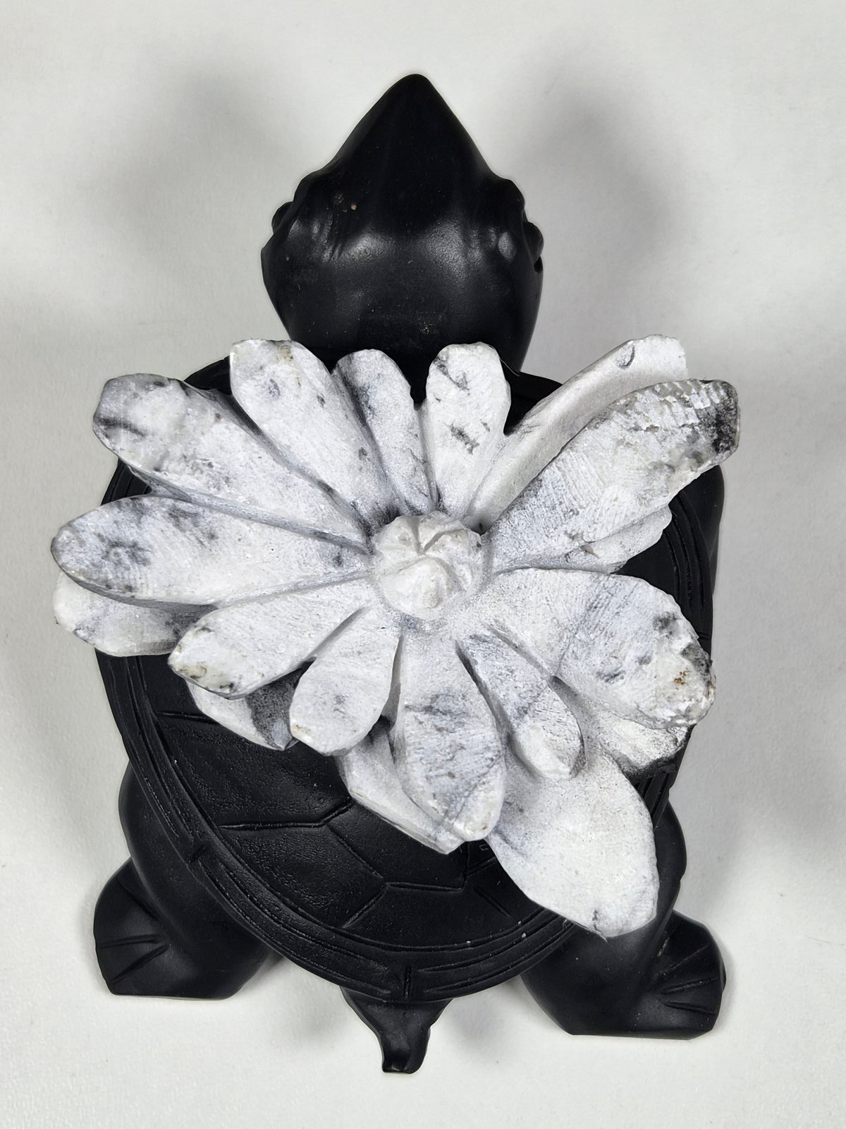 Chrystantemum Schildpad 276 gram