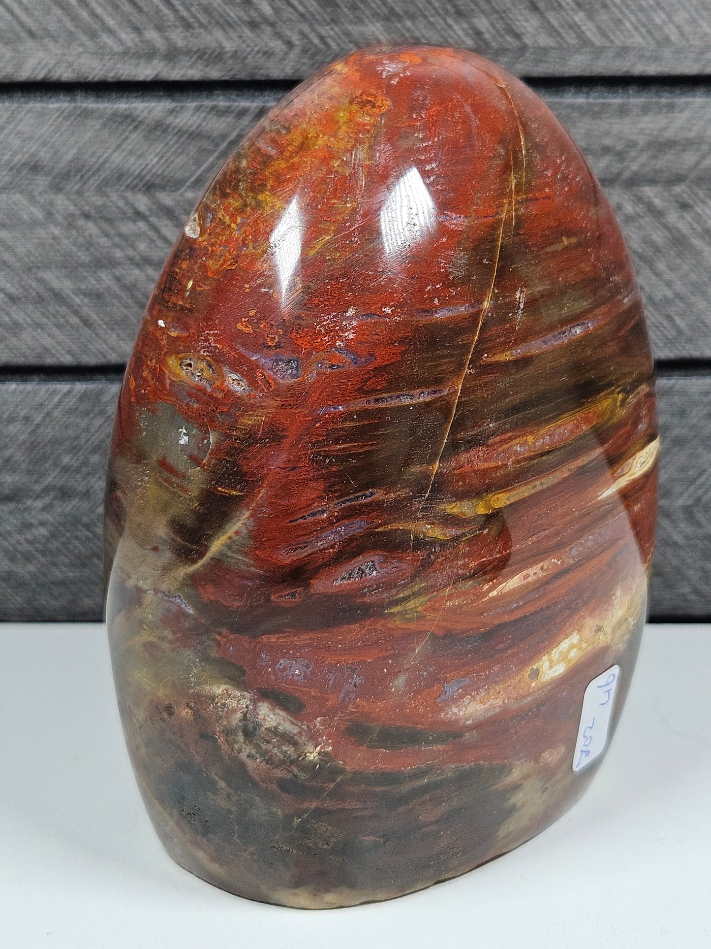 Versteend Hout sculptuur 702 gram