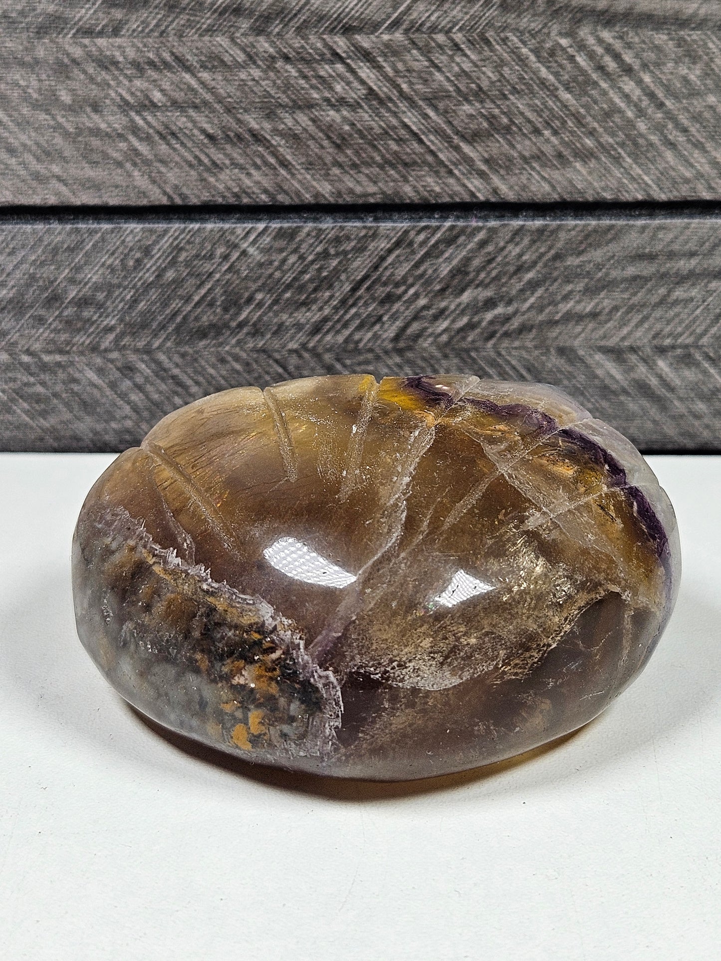 Fluoriet schelp 282 gram