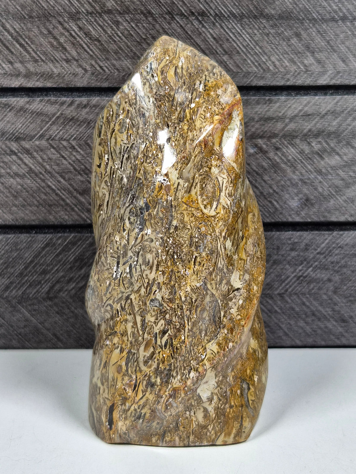 Fossiel Jaspis Sculptuur 406 gram