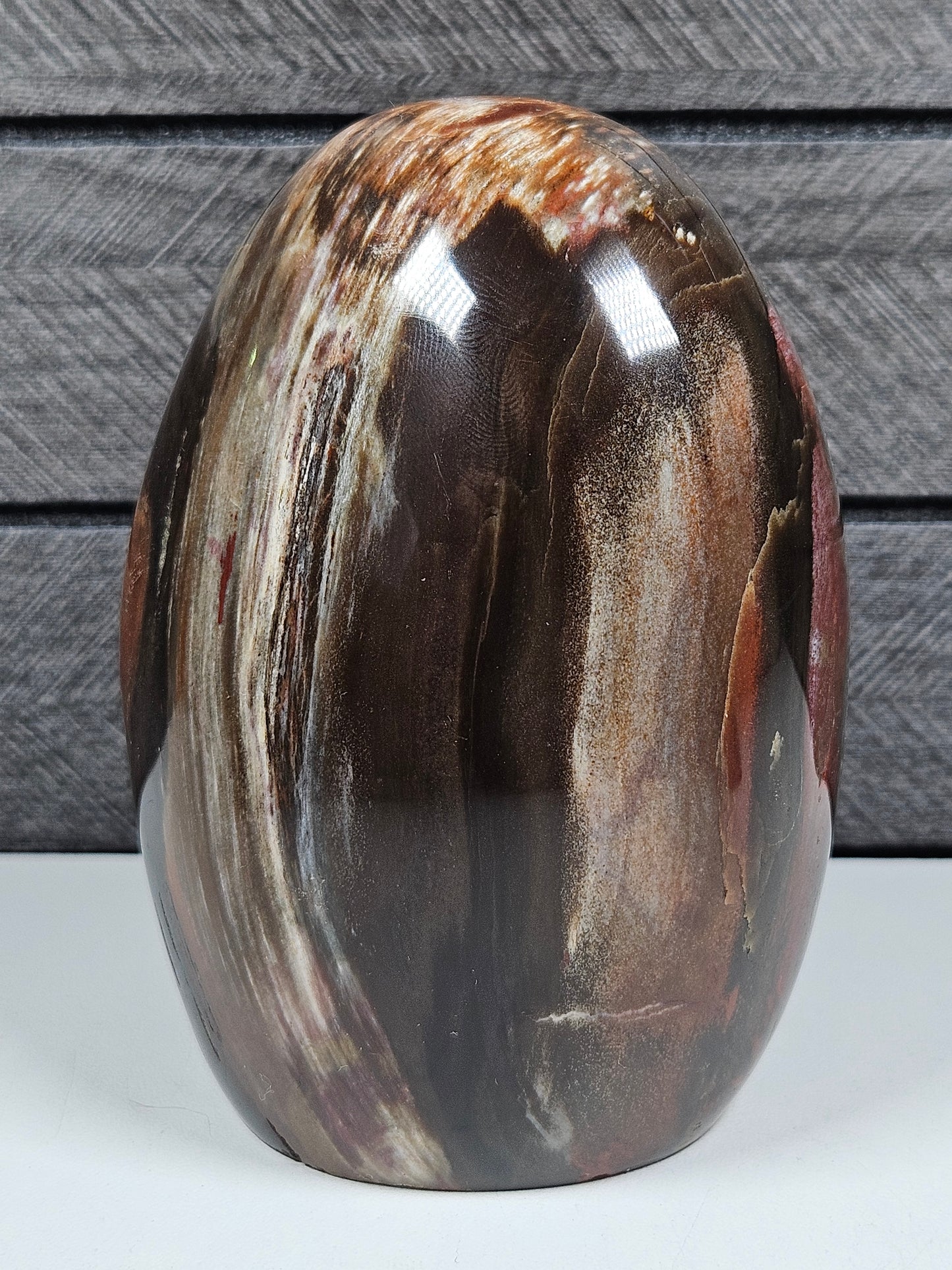 Versteend Hout sculptuur 618 gram