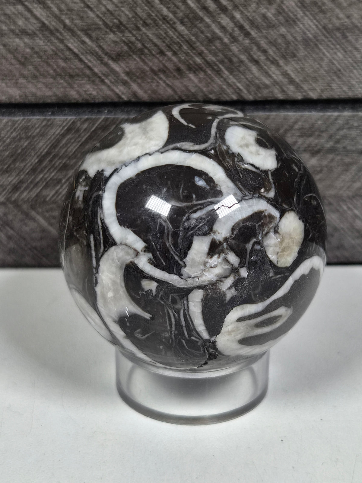 Sea Shell Jaspis bol 200 gram