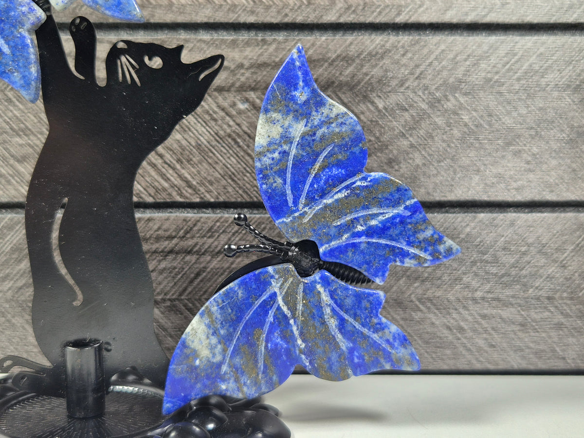 Lapis lazuli Vlinders met Kat