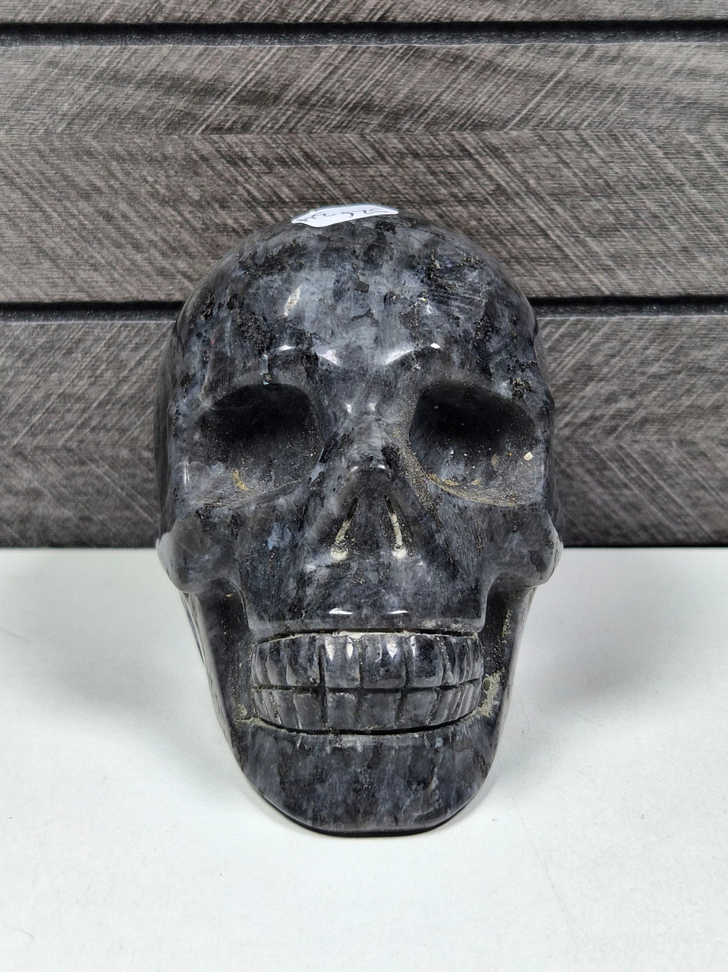 Larvikiet Schedel 526 gram