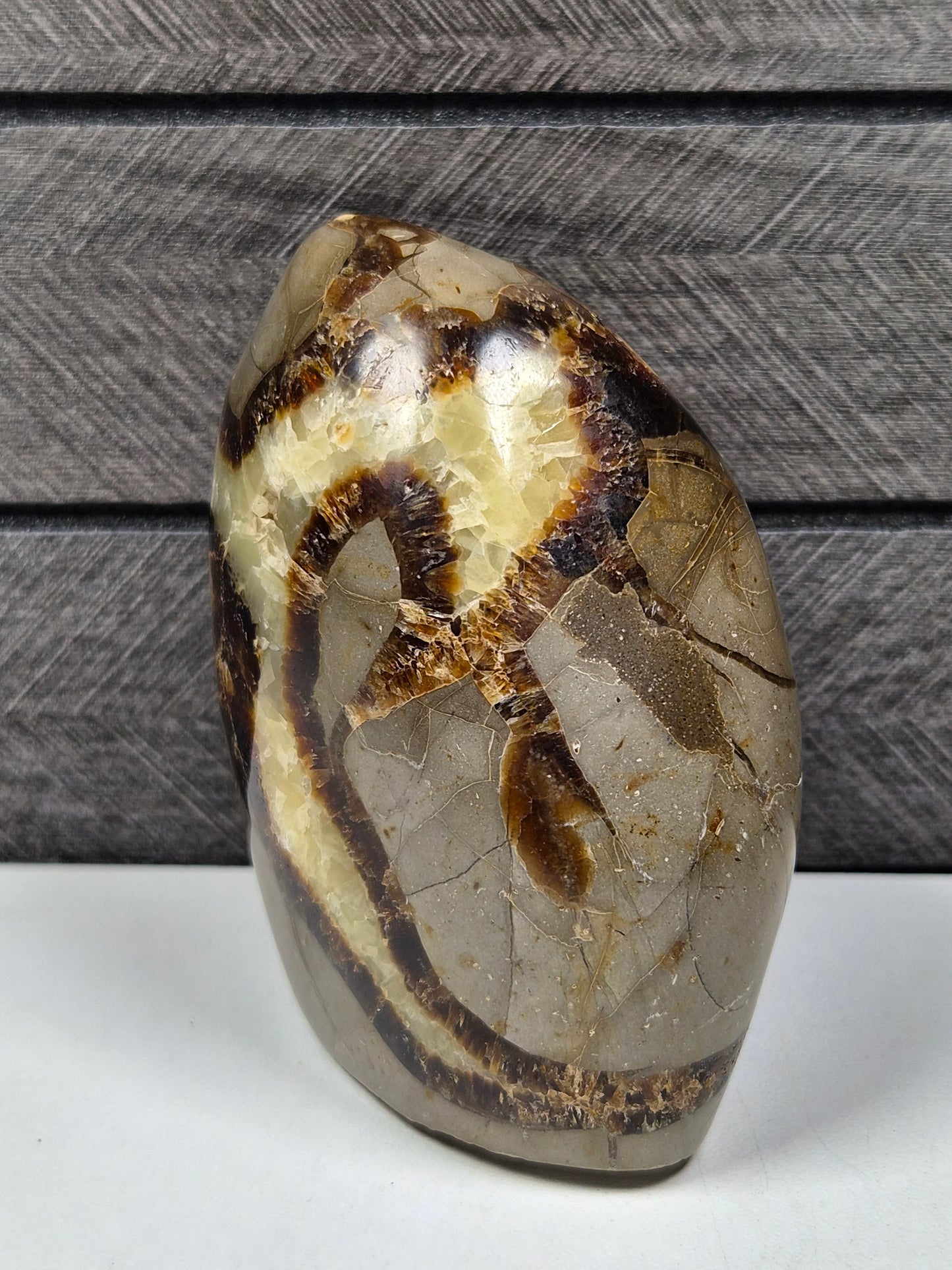 Septarie Sculptuur 328 gram
