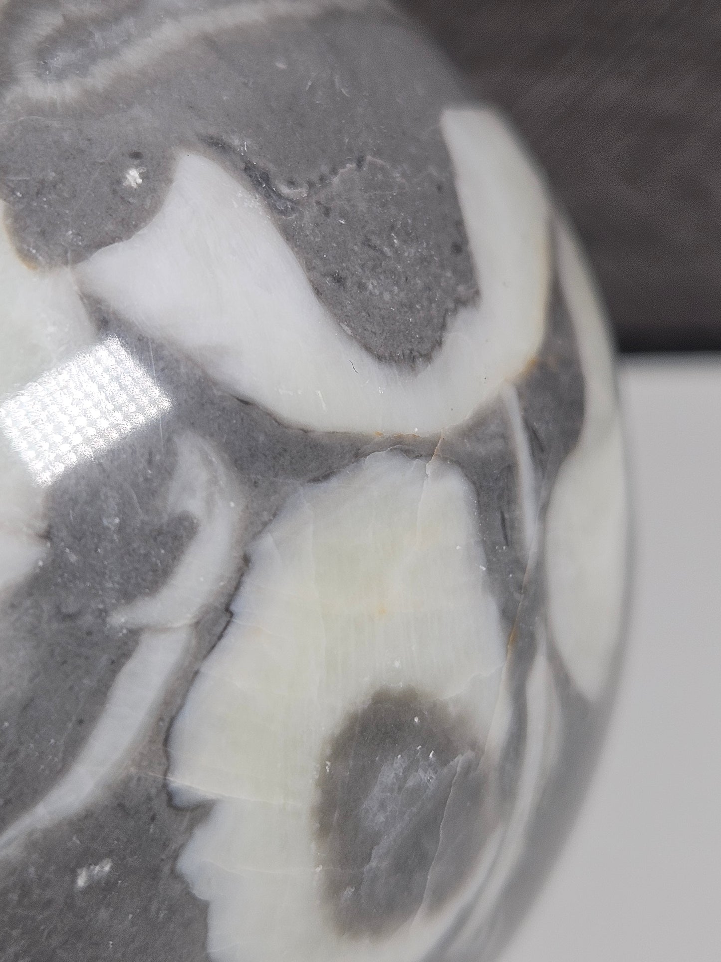 Sea Shell Jaspis bol 556 gram