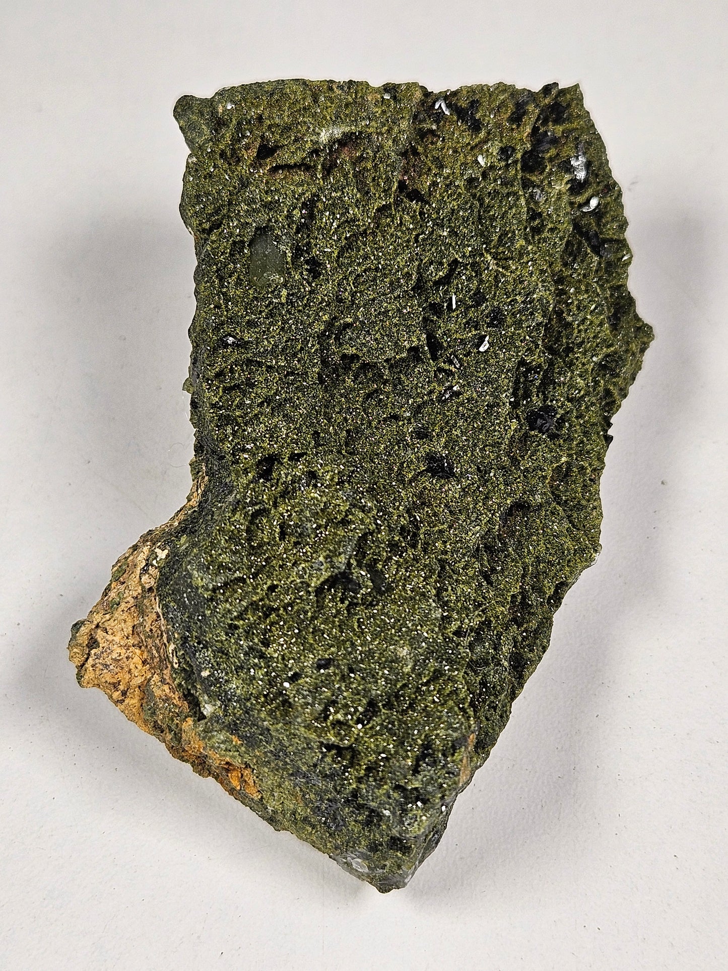 Forest Epidoot 128 gram