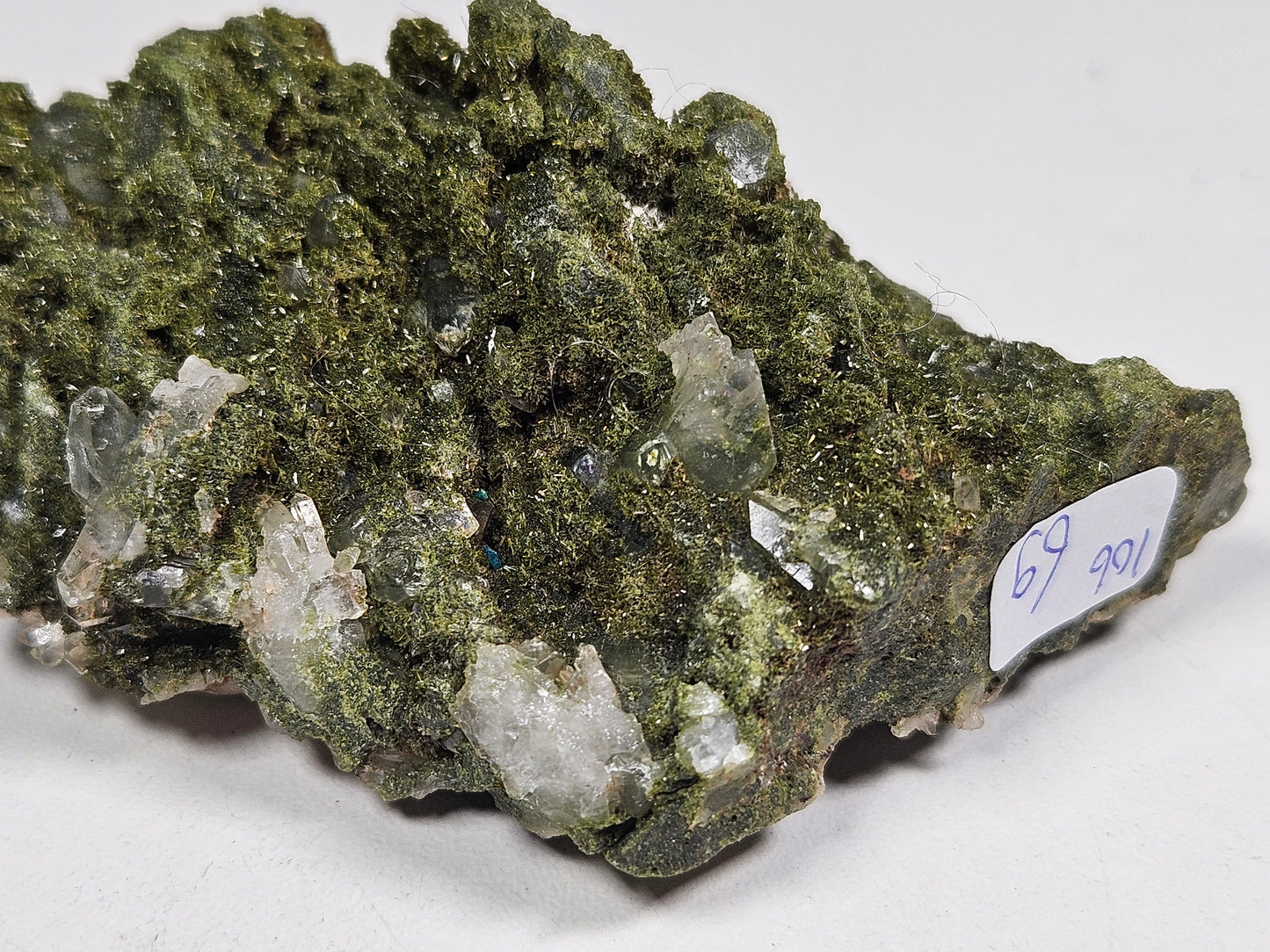 Forest Epidoot 106 gram