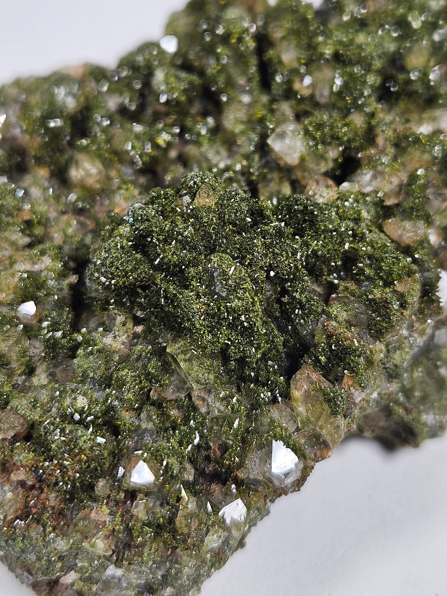 Forest Epidoot 130 gram