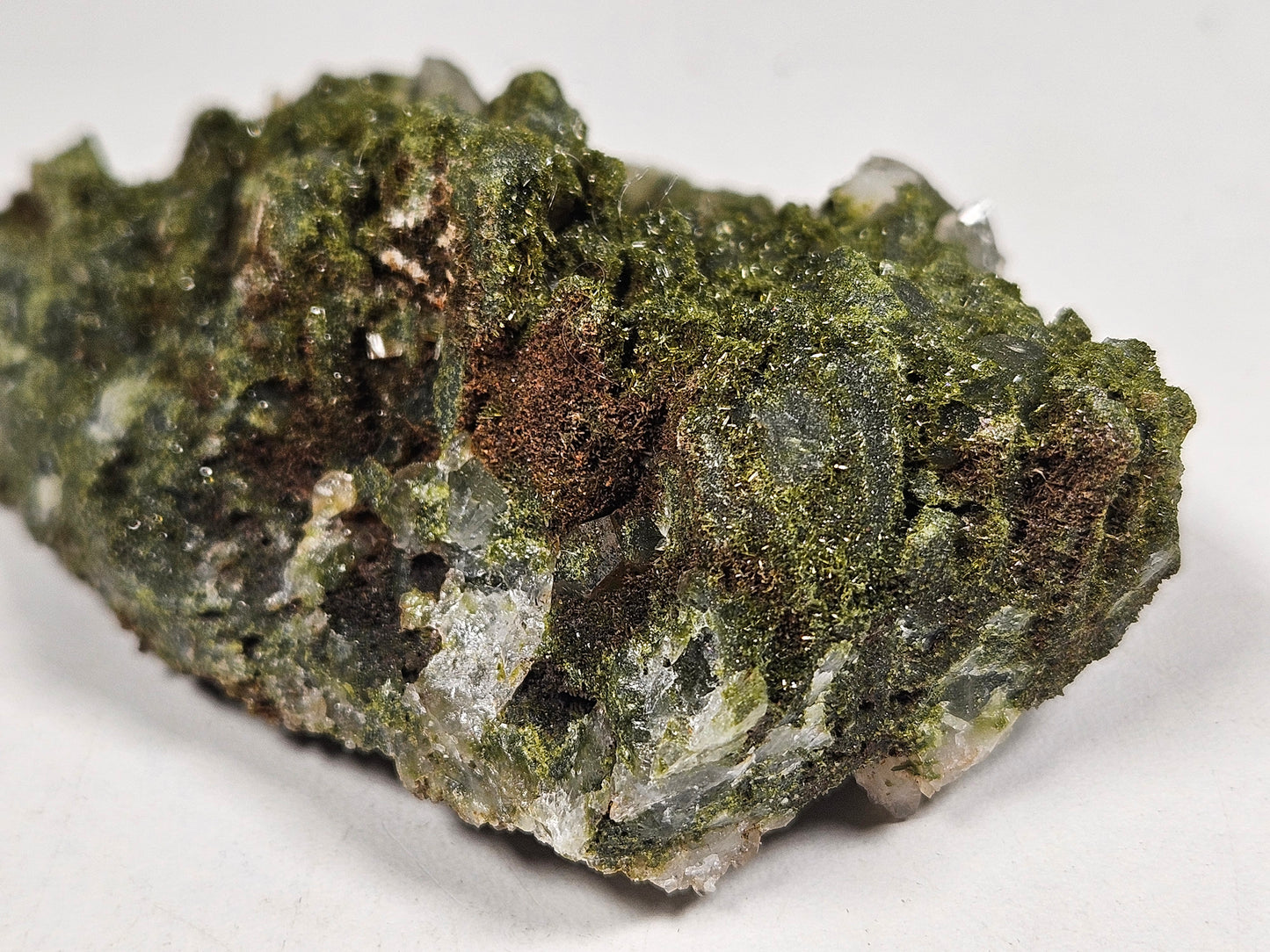 Forest Epidoot 106 gram