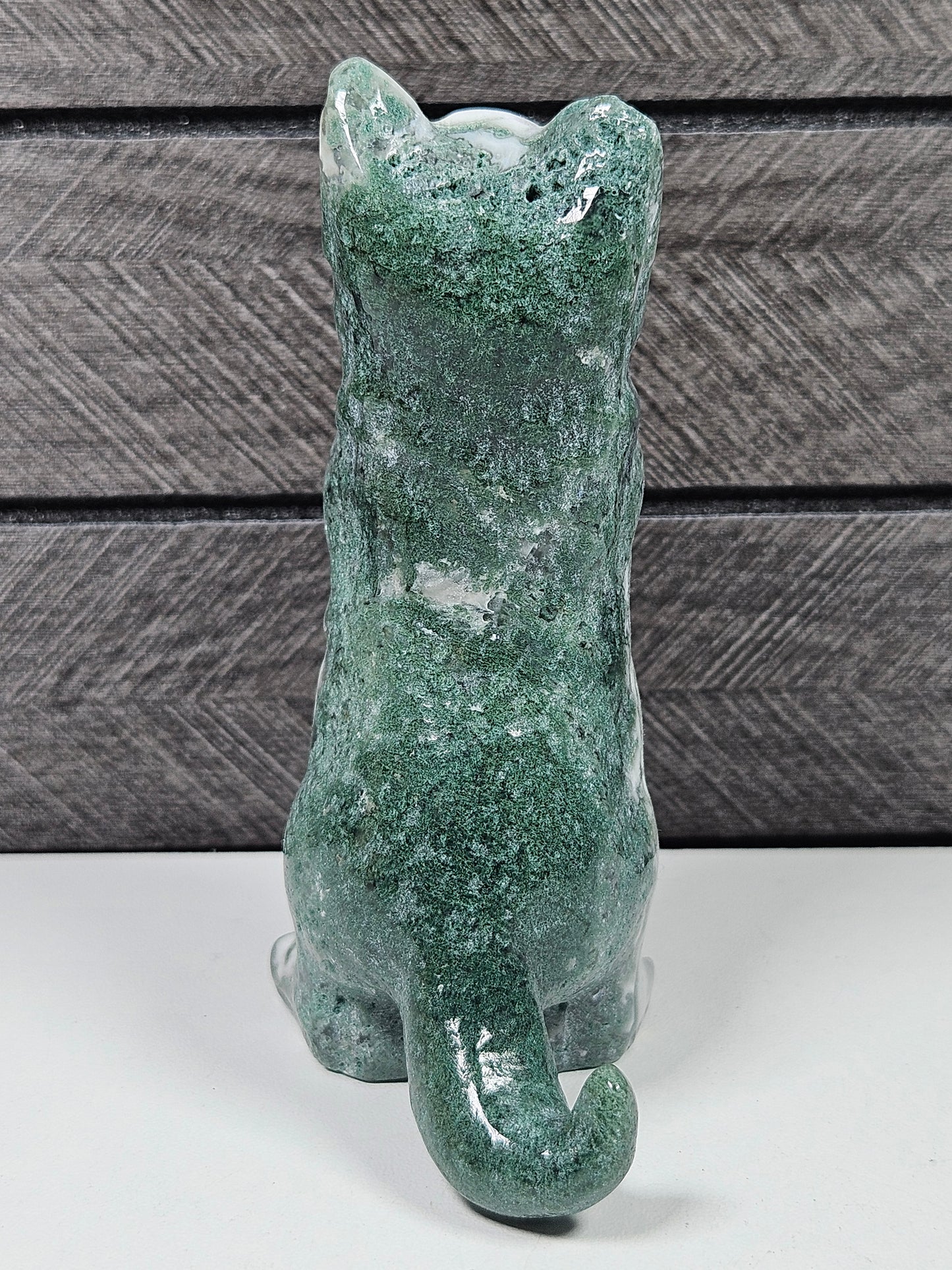 Mosagaat Bedelende Kat nr1