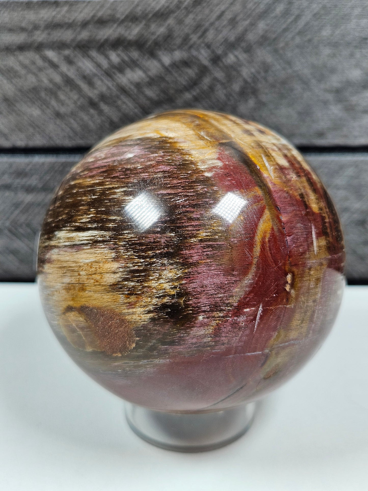 Versteend Hout bol 362 gram