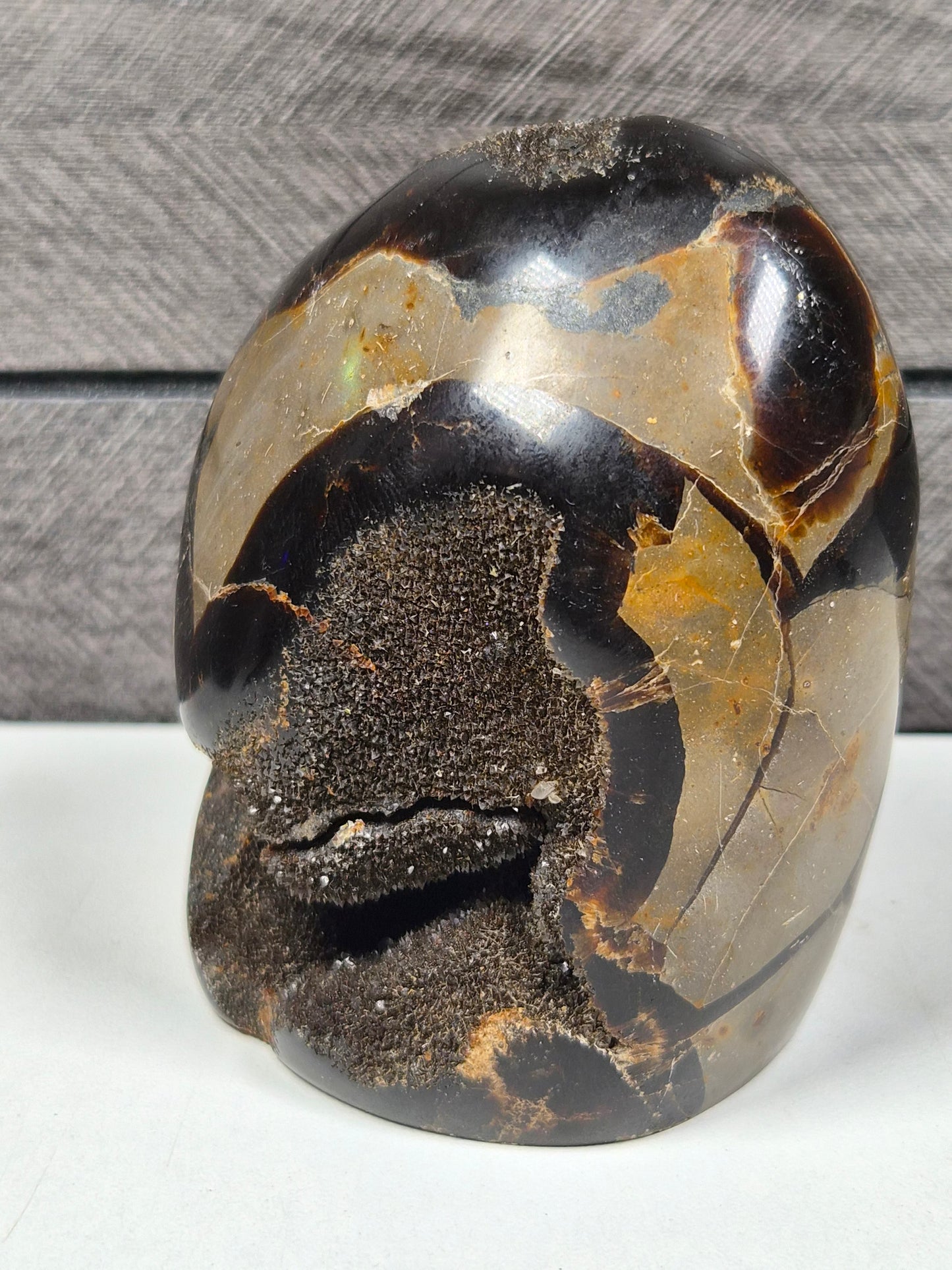 Septarie Sculptuur 422 gram
