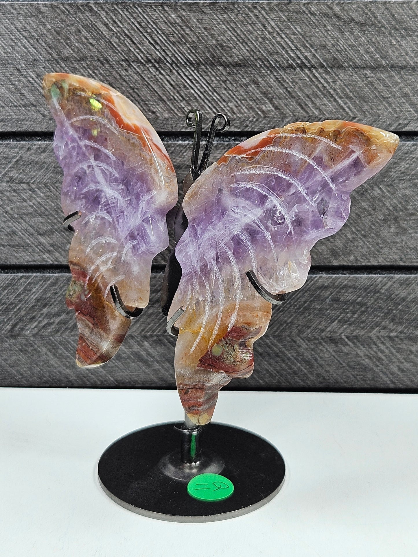 Amethist/Crazy Lace vlinder Q11