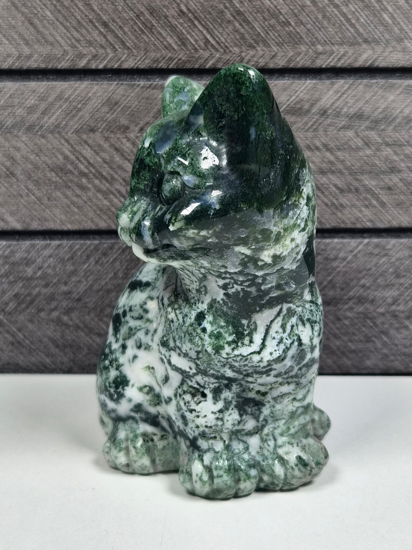 Mosagaat Kat 356 gram