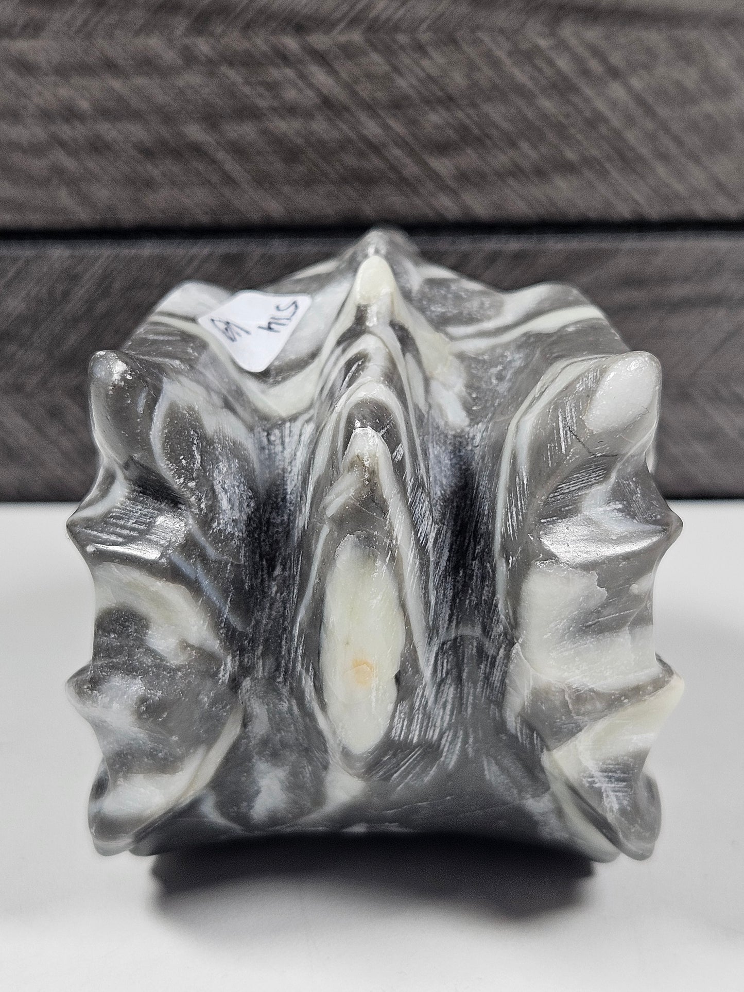 Sea Shell Jaspis Drakenkop 514 gram