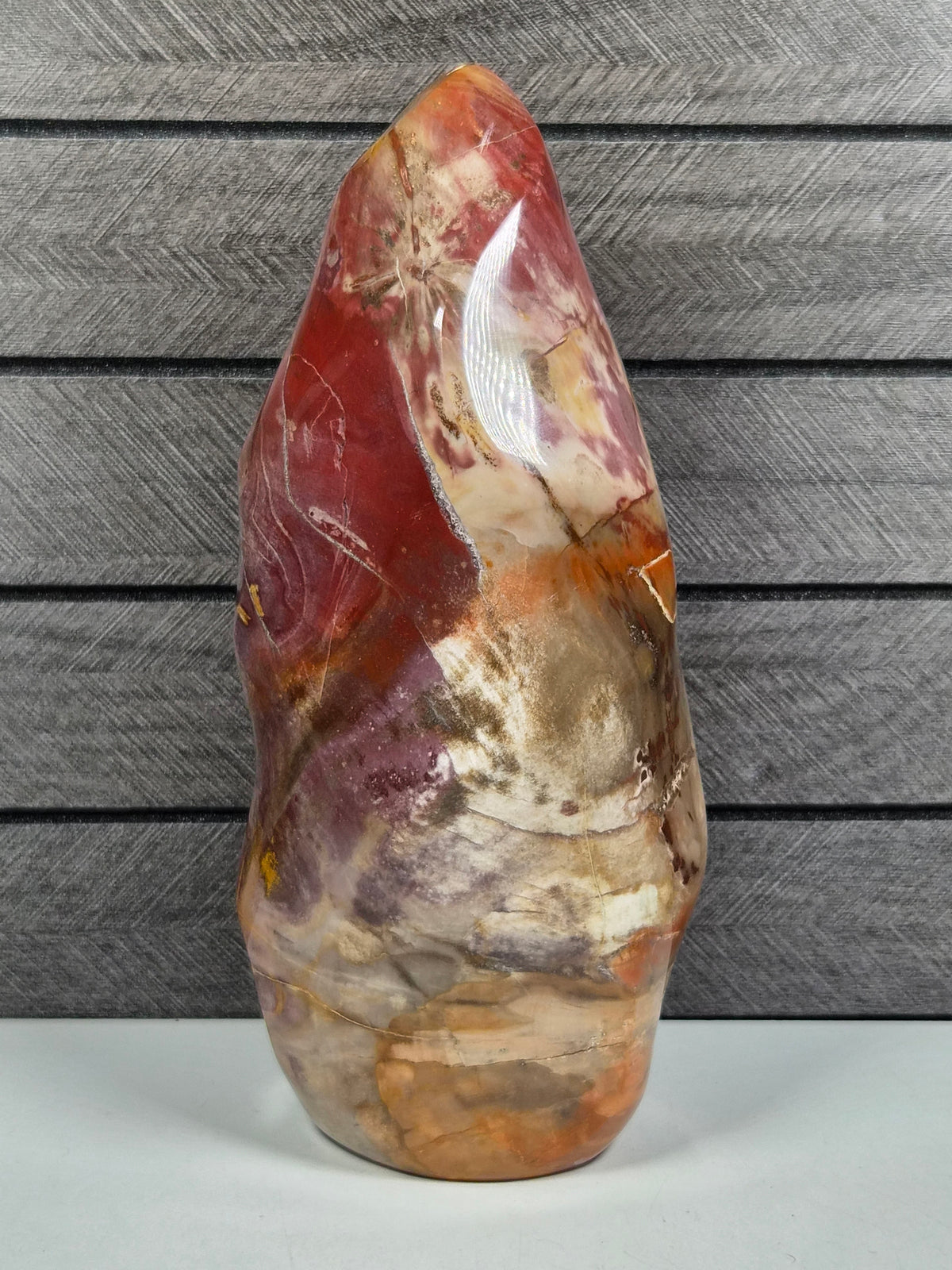 Versteend Hout Sculptuur 1652 gram